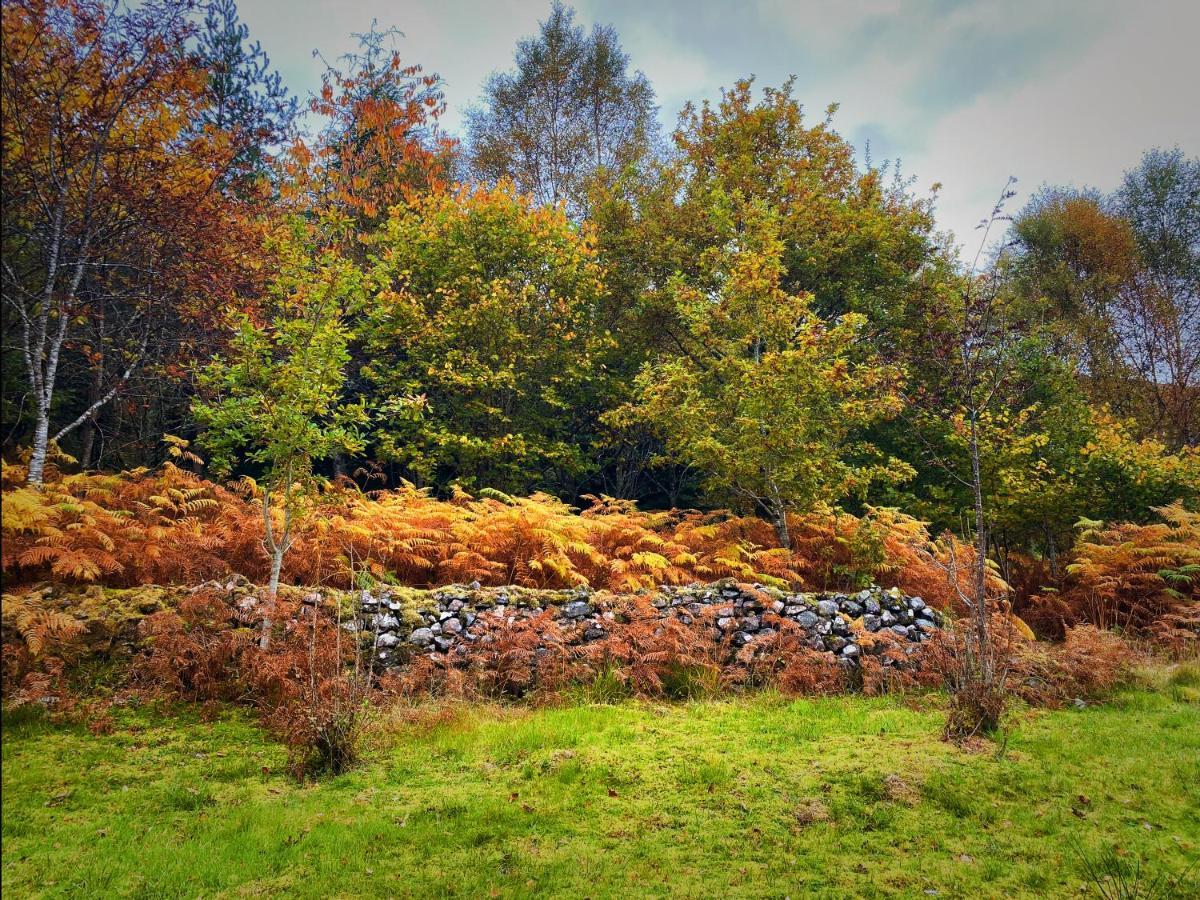 Tarmachan Cottage - West Highland Getaway 威廉堡 外观 照片
